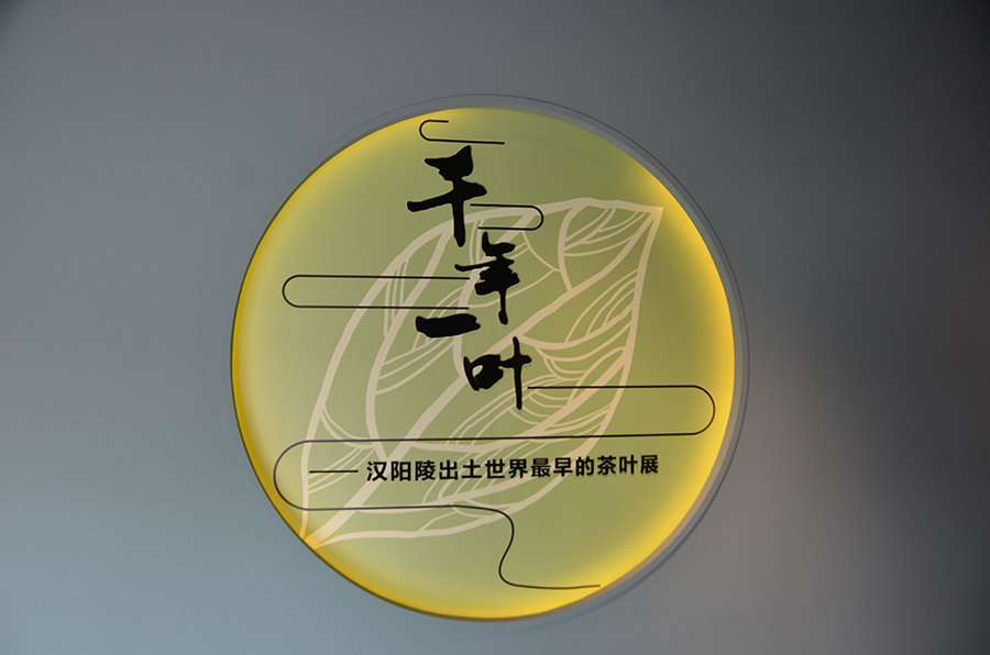 秦汉古茶 千年一叶