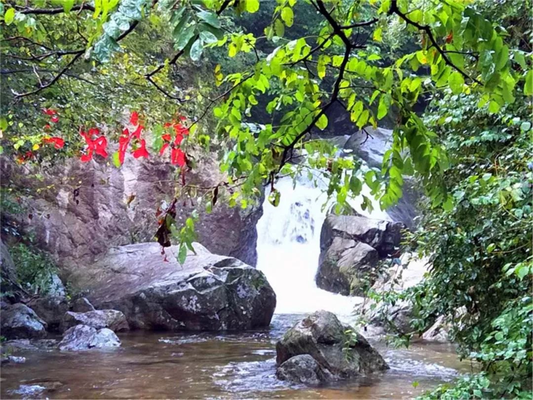 寨沟